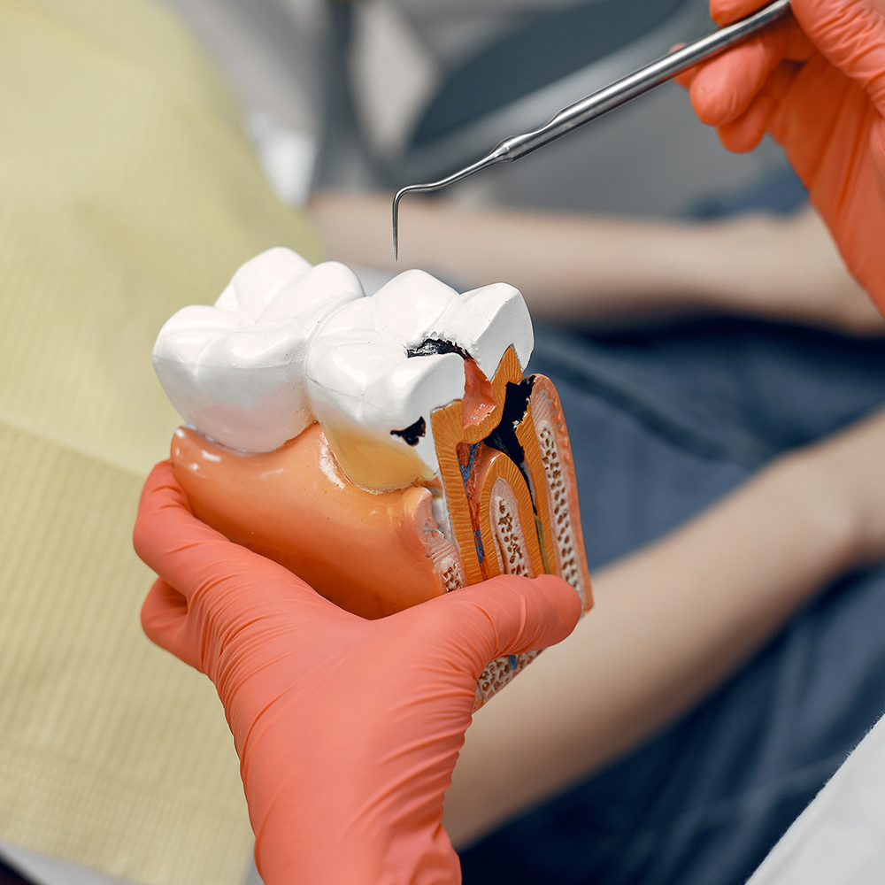 The dentist teaches dental care